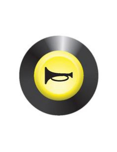 Piloto, Interruptor Bocina