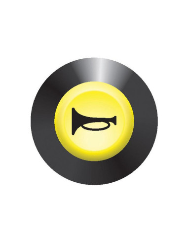 Piloto, Interruptor Bocina