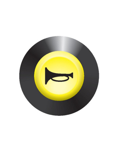 Piloto, Interruptor Bocina