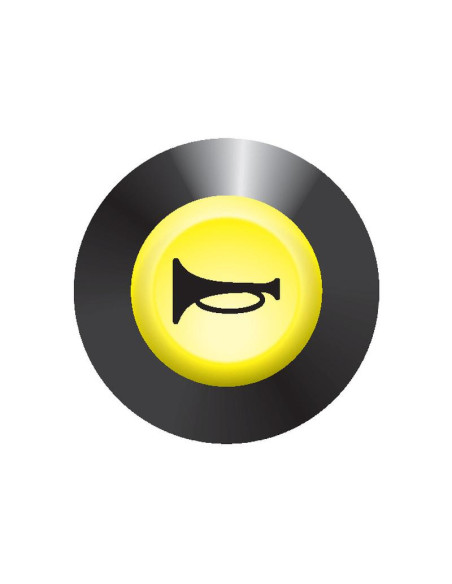 Piloto, Interruptor Bocina