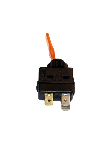 Interruptor de palanca