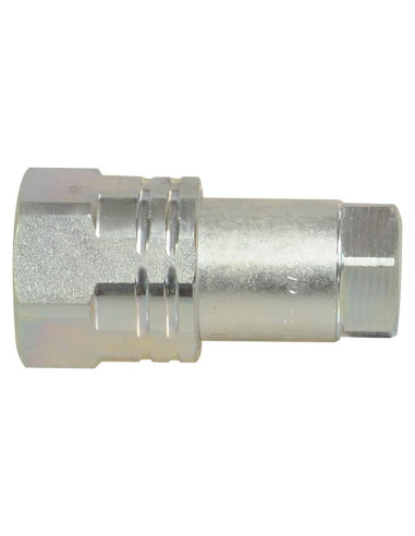 Enchufe Hidráulico-Hembra - 1/2’’ BSP - Serie W