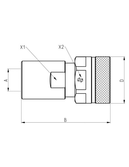 Poppet Valve Coupling Screw - Female - 1/2''BSP - VVS Series