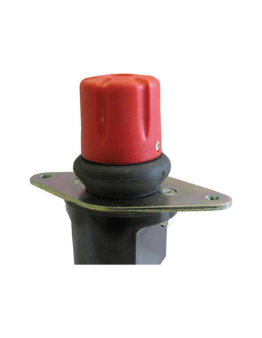 Desconectador Batería - Reforzado Función, 250...