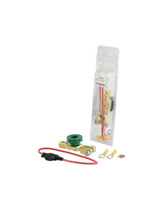 Desconectador Batería - Standard Función, 100 Amperios,... 2