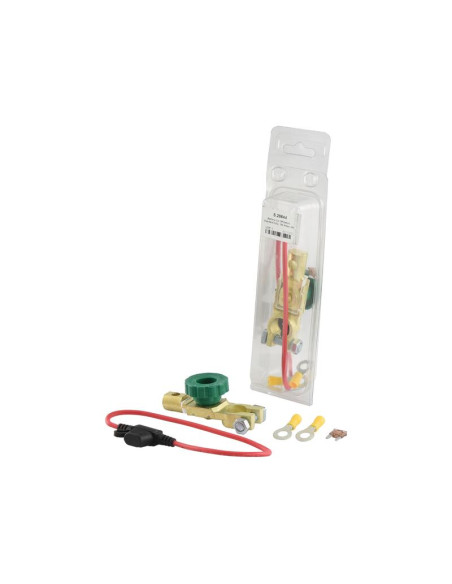 Desconectador Batería - Standard Función, 100 Amperios, 12/24V (Blister)