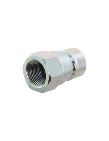 Faster Acoplamientos Hidráulicos Enganche Rápido Macho 3/4'' Tamaño del cuerpo x 3/4'' BSP Rosca Hembra