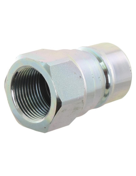 Faster Acoplamientos Hidráulicos Enganche Rápido Macho 3/4'' Tamaño del cuerpo x 3/4'' BSP Rosca Hembra