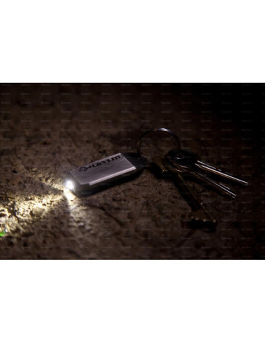 Luz LED Lifelite recargable con llavero, 30/5...