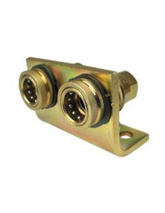 Sparex Hembra 1/2'' Tamaño del cuerpo x 1/2'' BSP Rosca...