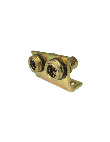 Sparex Hembra 1/2'' Tamaño del cuerpo x 1/2'' BSP Rosca Hembra