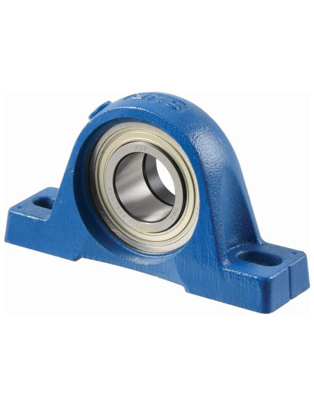 NTN SNR Rodamientos con Soportes de Dos Tornillos (ESPE208)