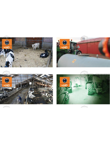 Farmcam HD Cámara de Vigilancia (Europeo)