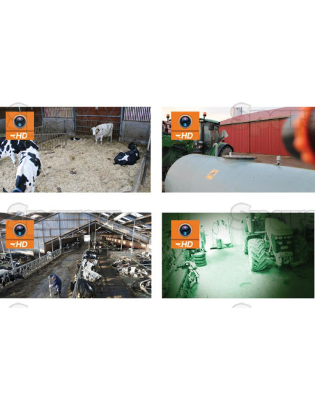 Farmcam HD Cámara de Vigilancia (Europeo)