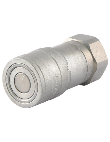 Sparex Acoplamientos Cara Plana Hembra 3/8'' Tamaño del cuerpo x 1/2'' BSP Rosca Hembra