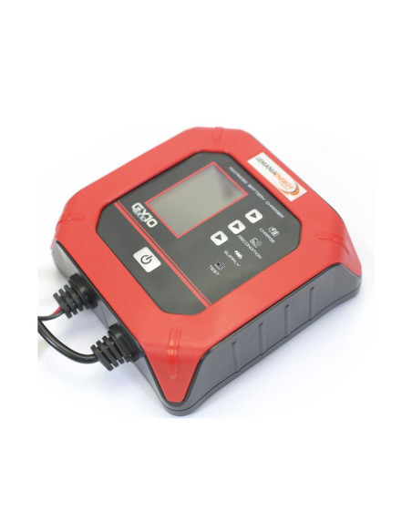 Cargador inteligente (GX10) 12V