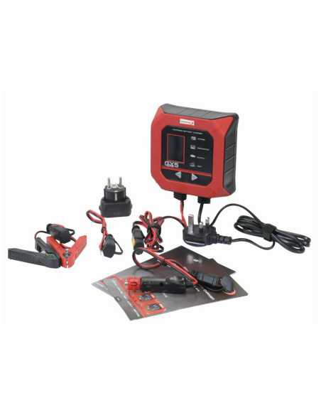 Cargador inteligente (GX5) 12V