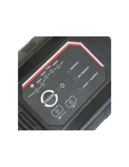 Cargador inteligente (LEM 7.0) 12/24V