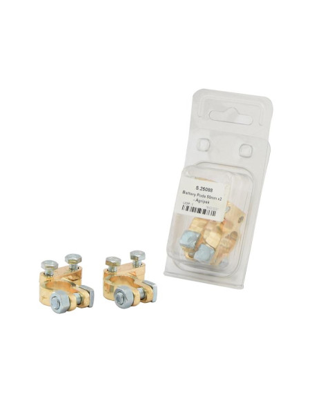 Terminal batería (Standard Función) Positivo (Blister 2 pzas.)