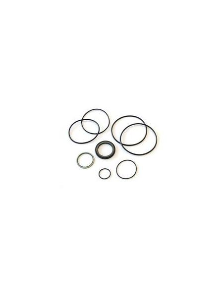 Trale Juego de sellado Orbital motor OMH