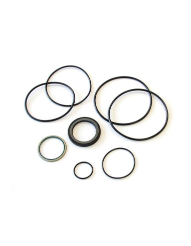 Trale Juego de sellado Orbital motor OMH