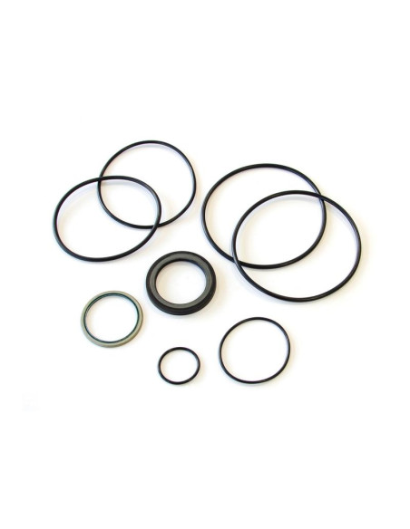 Trale Juego de sellado Orbital motor OMH