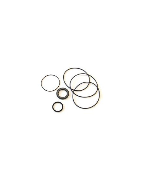 Trale Juego de sellado Orbital motor OMR