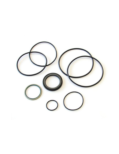 Trale Juego de sellado Orbital motor OMS