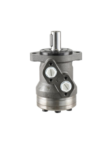 Trale Motor hidraúlico OMR125 125cc/rev con 25mm Cilíndrico eje