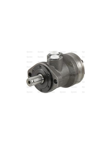 Trale Motor hidraúlico OMR315 315cc/rev con 25mm Cilíndrico eje