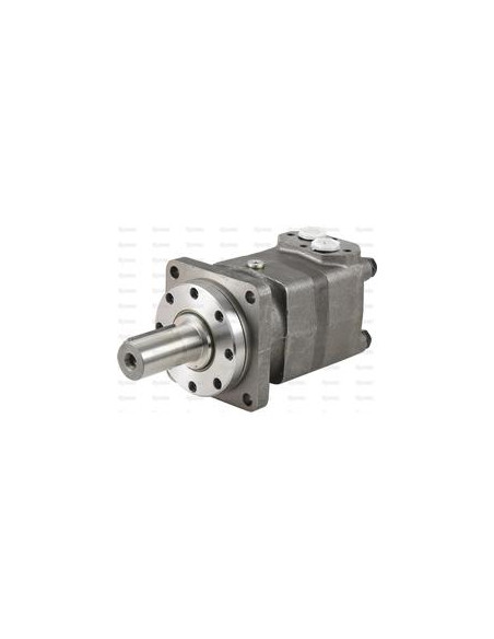 Trale Motor hidraúlico OMT250 250cc/rev con 40mm Cilíndrico eje