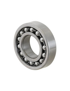 Sparex Rodamiento autoalineante (1206)