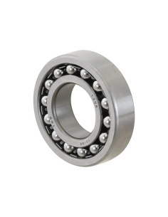 Sparex Rodamiento autoalineante (1206) 2