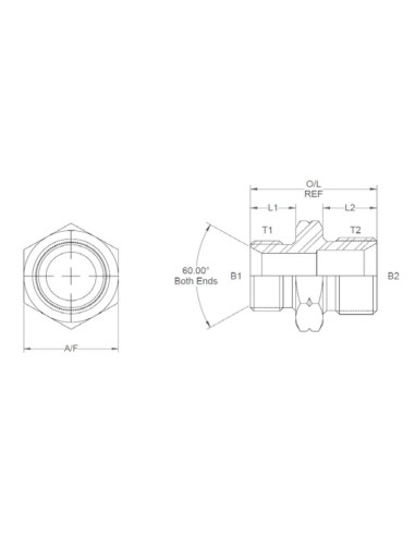 ADAP.METR.MACHO/MACHO 20X24MM