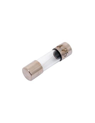 Fusible Cristal Mini 1 Amp Clasificación de interrupción