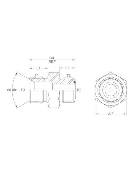 ADAPTADOR 1/4BSPx9/16UNF ORFS M/M