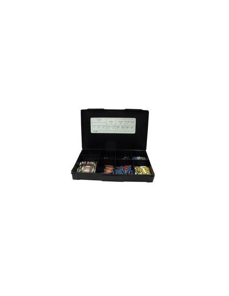 fusibles Surtidos (Caja 205 pzas.)