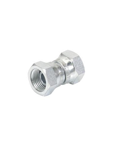 ADPT 1/8''BSP F-1/8''BSP F