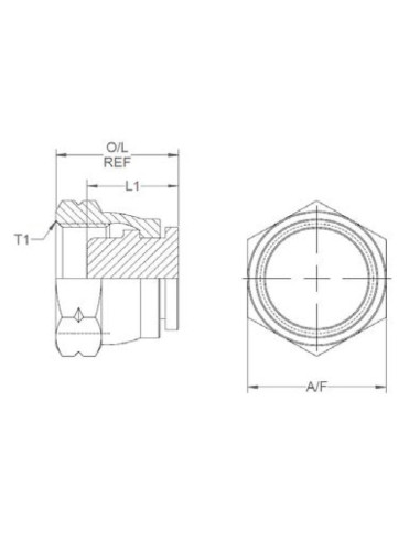 ADPT 18mm BLANKING CAP