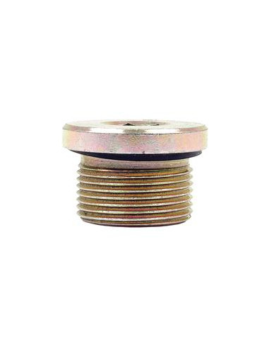 HEXAGON SOCKET HEAD PLUG M26