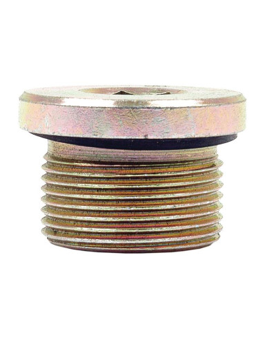 HEXAGON SOCKET HEAD PLUG M26