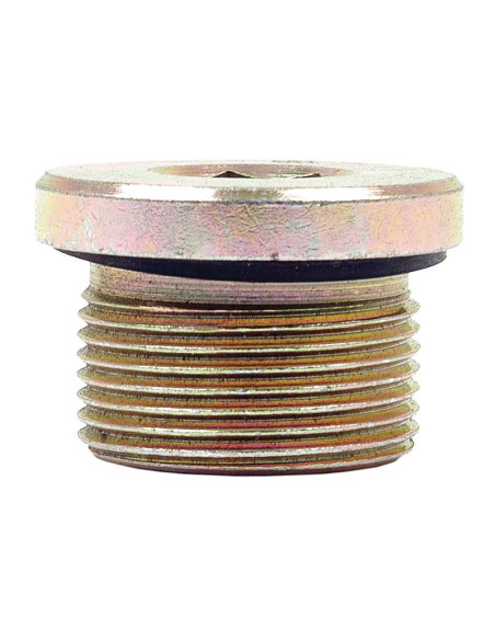 HEXAGON SOCKET HEAD PLUG M26