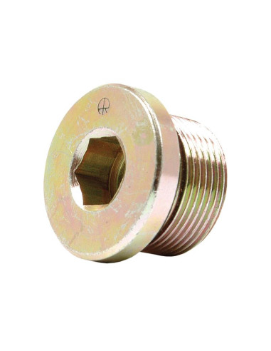 HEXAGON SOCKET HEAD PLUG M26