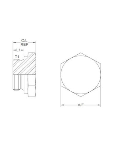 Tapón De Vaciado M24 x 1.5
