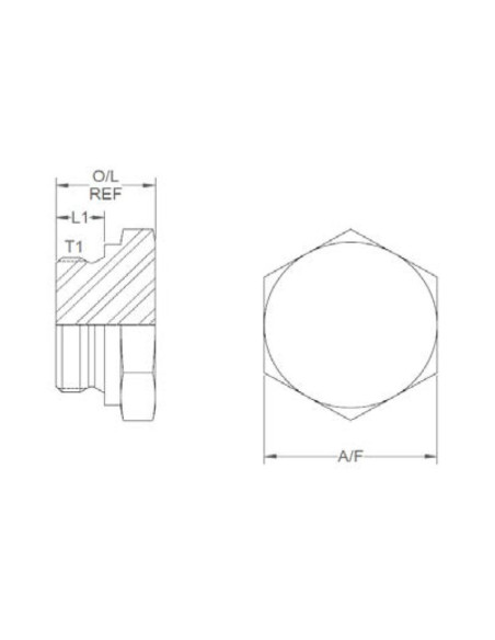 Tapón De Vaciado M24 x 1.5