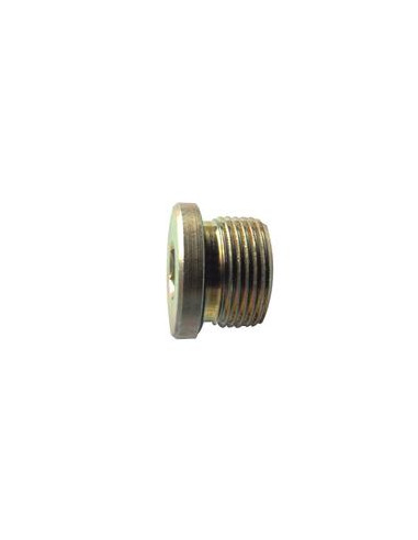 TAPON HEXAGONAL 1/2'' BSP