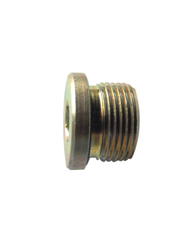 TAPON HEXAGONAL 3/8'' BSP