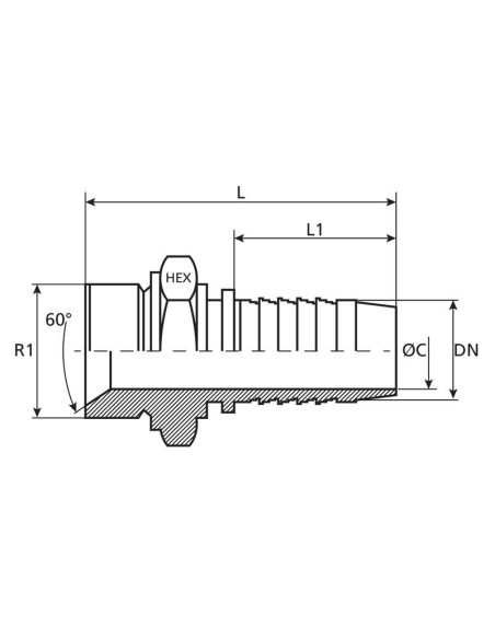 Dicsa BSP 60° Conexión Manguito 1/4'' x 1/8'' Macho Recta