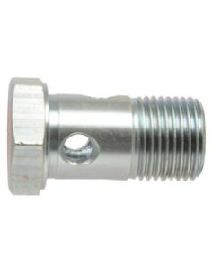 Dicsa BSP Tornillo Banjo 1''