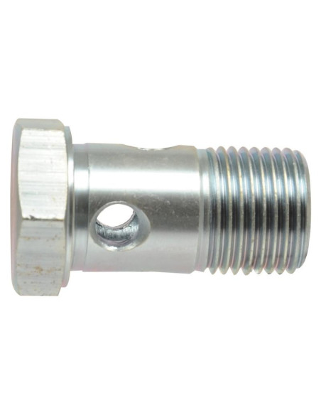 Dicsa BSP Tornillo Banjo 3/4''